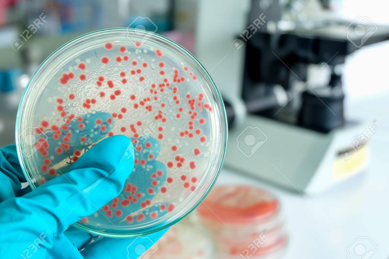 54907846-microbiology-laboratory-test