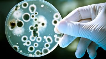 Microbiology-Testing-Market