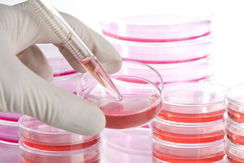 microtissues-for-in-vitro-toxicity-assessment